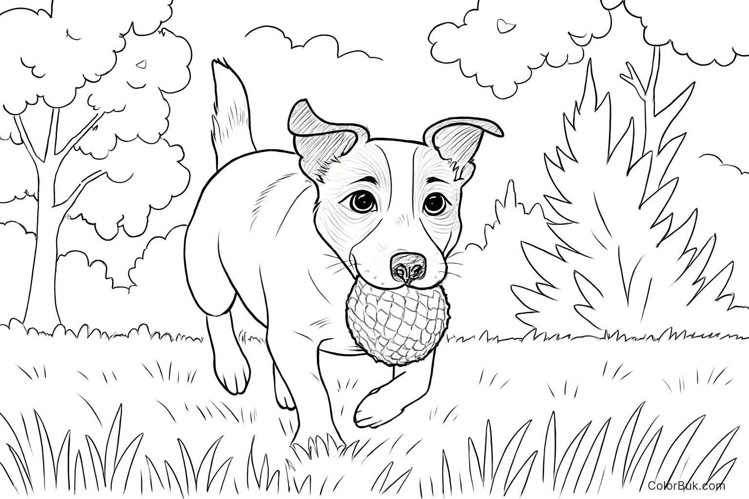 Nature Coloring Books Coloring page of a playful dog running in the grass with a ball.